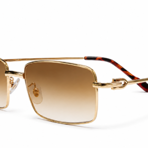GOLD HORIZON SUNGLASSES