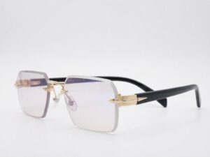 GILDED-PRISM FRAME