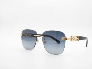 GOLDEN-MEDALLION SUNGLASSES